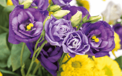 ©Fleurop AG Blumenstrauss mit Chrysanthemen und Eustoma